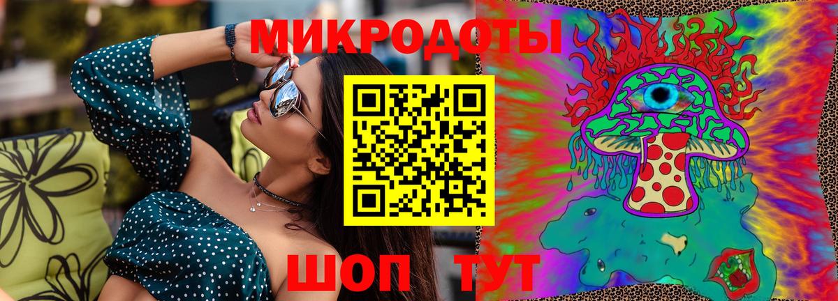 Галлюциногенные грибы Psilocybine cubensis Самара