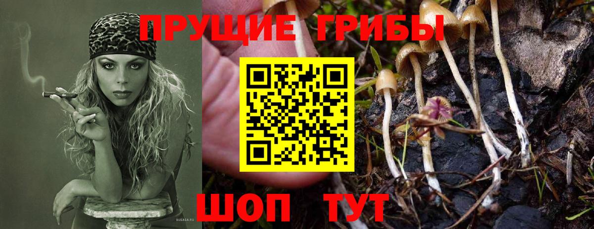 Самара  Галлюциногенные грибы Cubensis  Галлюциногенные грибы мицелий  Вход с VPN 